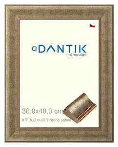 DANTIK rám na obraz 30x40 | KŘÍDLO malé stříbrné patina (Plexi Čiré)