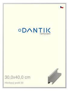 DANTIK rám na obraz 30x40 | ALU Stříbrná matná (Plexi Čiré)