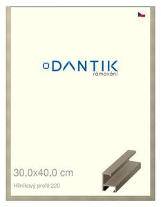 DANTIK rám na obraz 30x40 | ALU champagne (Plexi Čiré)
