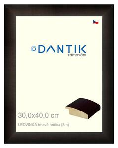 DANTIK rám na obraz 30x40 | LEDVINKA tmavě hnědá (Plexi Čiré)
