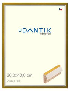 DANTIK rám na obraz 30x40 | EVOQUE žlutá (Plexi Čiré)