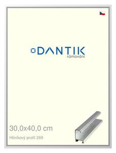 DANTIK rám na obraz 30x40 | ALU Stříbrná lesklá (Plexi Čiré)