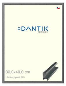 DANTIK rám na obraz 30x40 | ALU Ššedá broušená (Plexi Čiré)