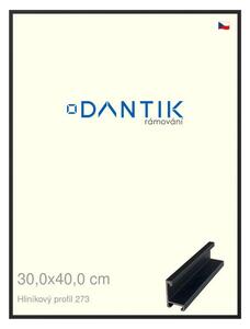 DANTIK rám na obraz 30x40 | ALU Černá matná (Plexi Čiré)