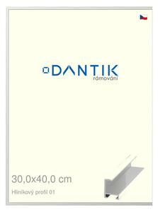 DANTIK rám na obraz 30x40 | ALU Stříbrná lesklá (Plexi Čiré)