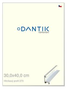 DANTIK rám na obraz 30x40 | ALU Bílá matná (Plexi Čiré)