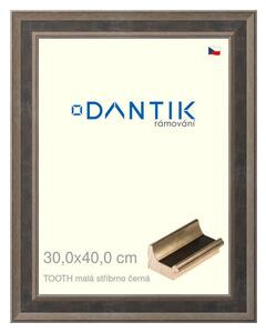 DANTIK rám na obraz 30x40 | TOOTH malá stříbrno černá (Plexi Čiré)