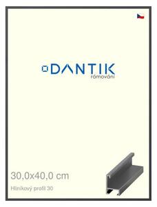 DANTIK rám na obraz 30x40 | ALU Dýha barevná šedá tmavá (Plexi Čiré)