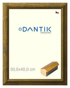 DANTIK rám na obraz 30x40 | Forgia Gold (Plexi Čiré)
