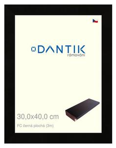 DANTIK rám na obraz 30x40 | FC černá plochá (Plexi Čiré)