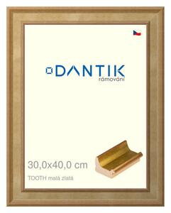 DANTIK rám na obraz 30x40 | TOOTH malá zlatá (Plexi Čiré)