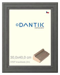 DANTIK rám na obraz 30x40 | STEP tmavěšedá (Plexi Čiré)