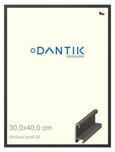 DANTIK rám na obraz 30x40 | ALU Dýha černá (Plexi Čiré)