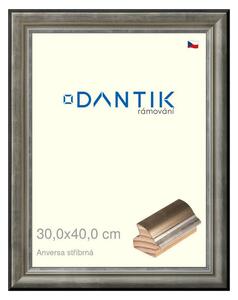 DANTIK rám na obraz 30x40 | ANIVERSA stříbrná (Plexi Čiré)