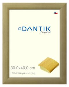 DANTIK rám na obraz 30x40 | LEDVINKA přírodní (Plexi Čiré)