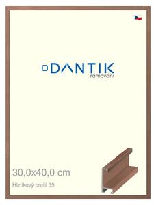 DANTIK rám na obraz 30x40 | ALU Dýha ořech (Plexi Čiré)