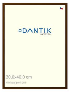 DANTIK rám na obraz 30x40 | ALU Hnědá umbra broušená (Plexi Čiré)