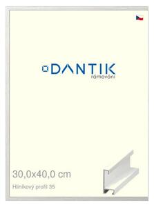 DANTIK rám na obraz 30x40 | ALU Dýha bílá (Plexi Čiré)