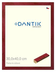 DANTIK rám na obraz 30x40 | PIATTA tm.růžová (Plexi Čiré)