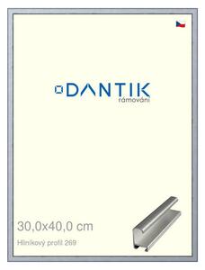 DANTIK rám na obraz 30x40 | ALU Sstříbrná broušená (Plexi Čiré)