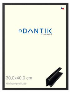 DANTIK rám na obraz 30x40 | ALU Černá matná (Plexi Čiré)