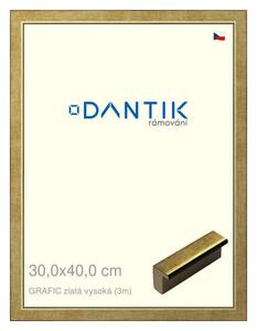 DANTIK rám na obraz 30x40 | GRAFIC zlatá vysoká (Plexi Čiré)