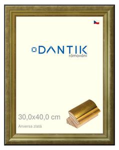 DANTIK rám na obraz 30x40 | ANIVERSA zlatá (Plexi Čiré)