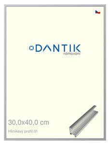 DANTIK rám na obraz 30x40 | ALU Stříbrná matná (Plexi Čiré)