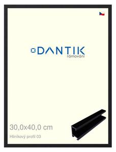 DANTIK rám na obraz 30x40 | ALU Černá matná (Plexi Čiré)