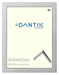 DANTIK rám na obraz 30x40 | SARTORI listy čílá (Plexi Čiré)