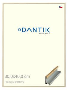 DANTIK rám na obraz 30x40 | ALU Dýha javor (Plexi Čiré)