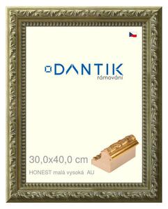 DANTIK rám na obraz 30x40 | HONEST malá vysoká AU (Plexi Čiré)