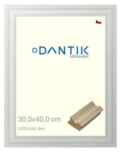 DANTIK rám na obraz 30x40 | LYON Bílá (Plexi Čiré)