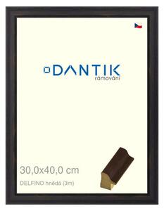 DANTIK rám na obraz 30x40 | DELFINO hnědá (Plexi Čiré)