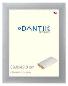DANTIK rám na obraz 30x40 | LEDVINKA bílá (Plexi Čiré)