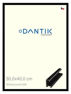 DANTIK rám na obraz 30x40 | ALU Černá lesklá (Plexi Čiré)