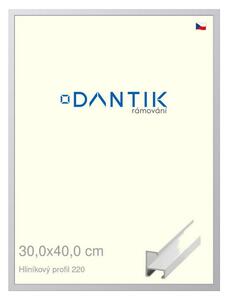 DANTIK rám na obraz 30x40 | ALU Bílá matná (Plexi Čiré)