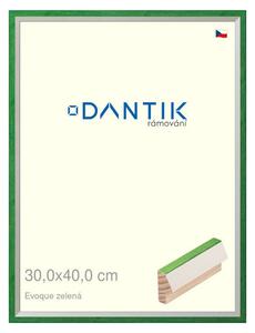 DANTIK rám na obraz 30x40 | EVOQUE zelená (Plexi Čiré)