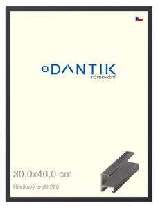 DANTIK rám na obraz 30x40 | ALU Černá matná (Plexi Čiré)