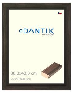 DANTIK rám na obraz 30x40 | Gočár šedá (Plexi Čiré)