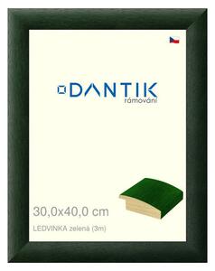 DANTIK rám na obraz 30x40 | LEDVINKA zelená (Plexi Čiré)
