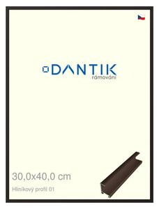 DANTIK rám na obraz 30x40 | ALU Hnědá matná (Plexi Čiré)