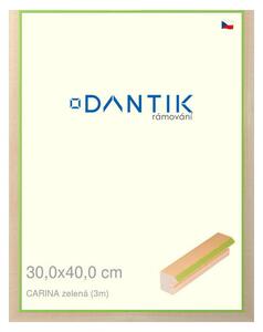 DANTIK rám na obraz 30x40 | CARINAzelená (Plexi Čiré)