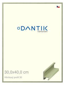DANTIK rám na obraz 30x40 | ALU Dýha barevná zelená pastel (Plexi Čiré)