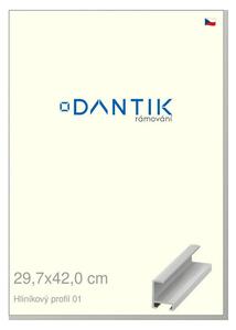 DANTIK rám na obraz 29,7x42 | ALU Stříbrná matná (Plexi Čiré)