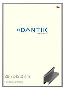 DANTIK rám na obraz 29,7x42 | ALU Ocelová (Plexi Čiré)