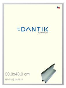 DANTIK rám na obraz 30x40 | ALU Stříbrná matná (Plexi Čiré)