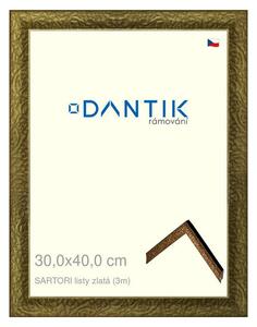 DANTIK rám na obraz 30x40 | SARTORI listy zlatá (Plexi Čiré)