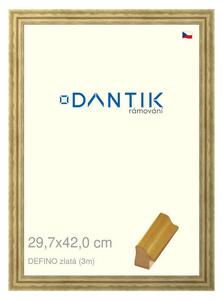 DANTIK rám na obraz 29,7x42 | DELFINO zlatá (Plexi Čiré)