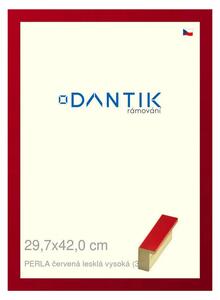 DANTIK rám na obraz 29,7x42 | PERLA červená lesklá vysoká (Plexi Čiré)